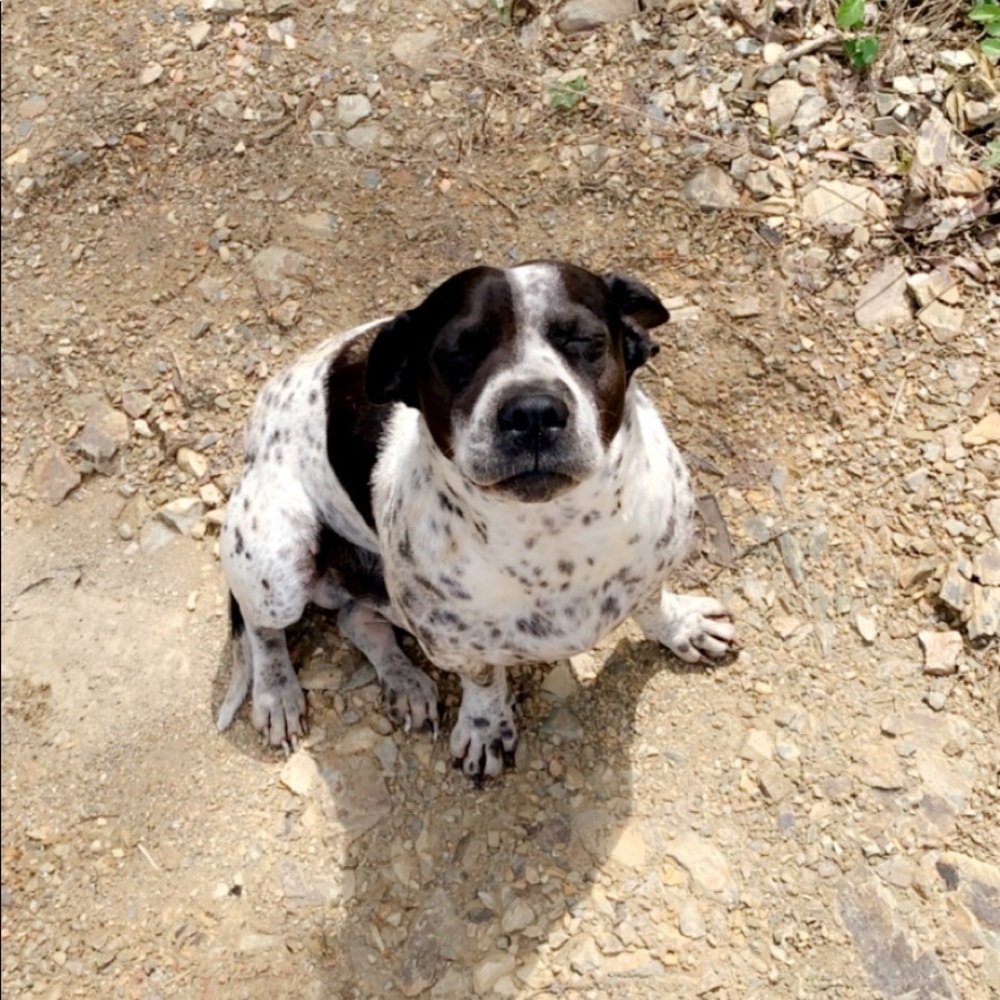 Meet your Posher, Jacey